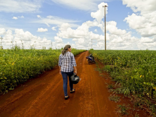Monocultivo en Paraguay